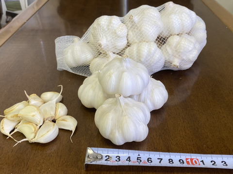 【500g入】マイルドな香味のニンニク「テラドー」