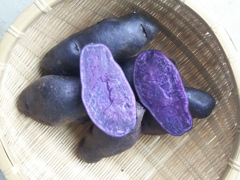 【珍しいじゃが芋】
紫ジャガイモ　シャドークイーン
世界農業遺産ブランド野菜