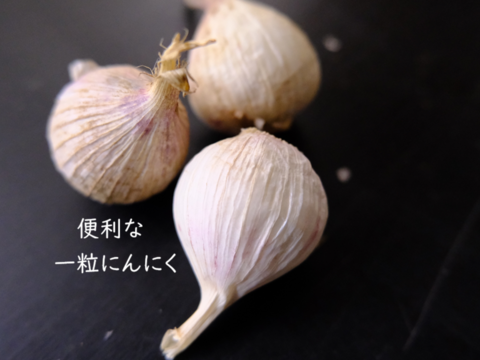 我が家用 不揃い訳あり有機にんにく約1kg