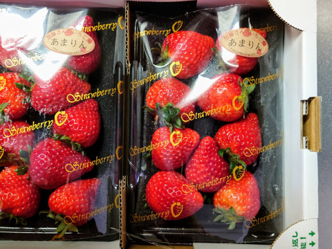 あまりん 7粒～15粒‼️