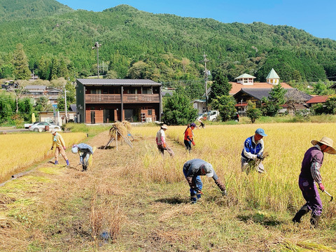 むらざと自然農園のトマト約4キロ　農薬化学肥料不使用　冷蔵便　岐阜県加茂郡白川町黒川　豊かな環境で太陽をいっぱい浴びて育った美味しいトマト♪
