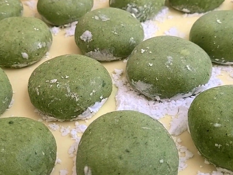 【有馬温泉の麓発】天然 生よもぎ100g 春の訪れの香り 兵庫県旧有馬郡産 山菜