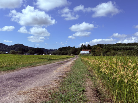【青森・外ヶ浜ファーム直産】新米 はれわたり 10kg《大大大好評！！》地産地消・低農薬米