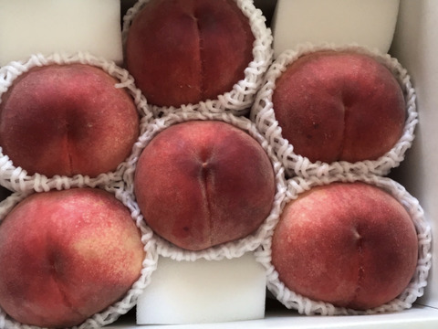 山梨桃専業農家が暑い夏をお届けします。　真夏桃　2kg