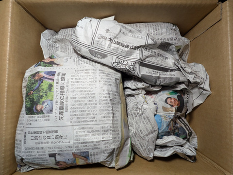 リンゴ、柿、ハクサイ、タマネギ、ネギ