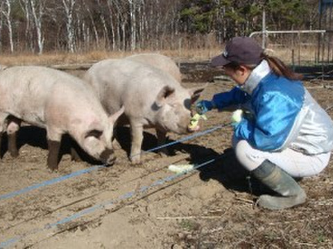 八ヶ岳中央農業実践大学校の学生と教員が育てた！【たっぷり】アニマルウェルフェアに配慮して飼育した放牧豚の詰め合わせセット