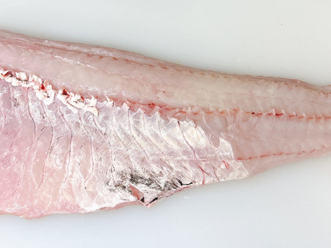 【真空冷凍】ぶりんぶりん！どデカ真鱈の切り身３㎏