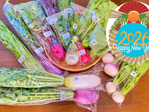 限定5セット【ゲン担ぎ福袋】『福来い！』旬菜セット【自然栽培🍀固定種100サイズ】朝採り新鮮！（３〜５人様向け）