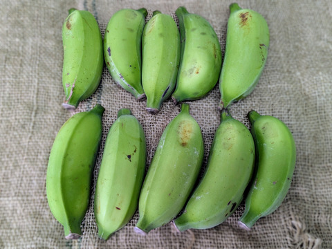 沖縄からの贈り物　ブラジルバナナ1㎏【農薬・除草剤・化学肥料不使用】