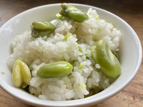 【自然栽培・自家採種🍀朝採りそら豆（さや付）】500g 15本前後・青臭くなく大粒で甘〜い！😋