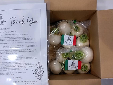 【おどろく甘さ】サラダ・ラティーナ（サラダカブ）1kg（4〜6個）