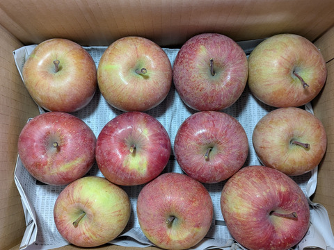 柿とリンゴの加工原料箱詰め