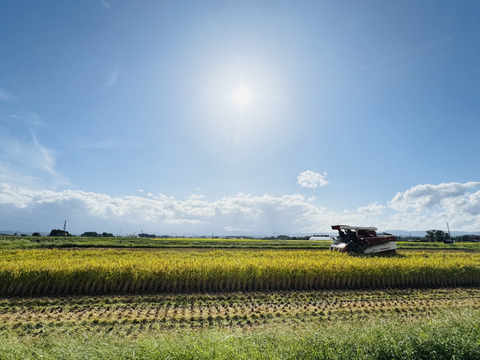 定期便 5kg×2袋　極のササニシキ　令和7年産　新米予約