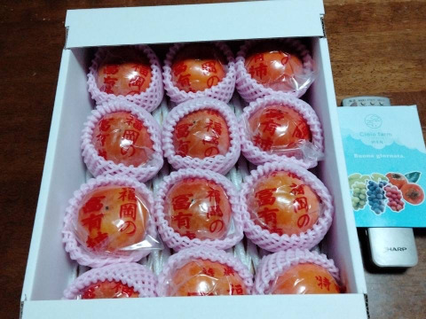 冷蔵柿（富有柿）12個入り 『小玉！』Sサイズ 　福岡県久留米市田主丸町産