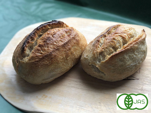 全部有機！麦の栽培から一貫生産　Singleパン⑲：自然栽培有機小麦のみ使用した有機クッペ2個