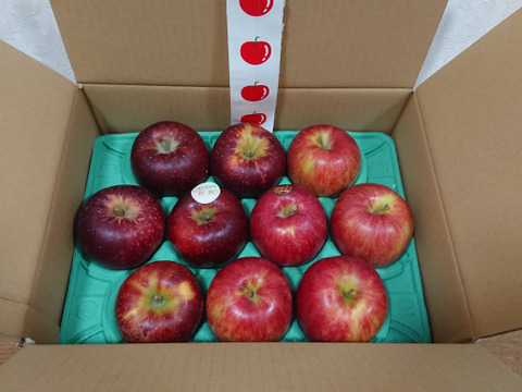 【夜市限定】秋りんご食べ比べセット　9個から12個