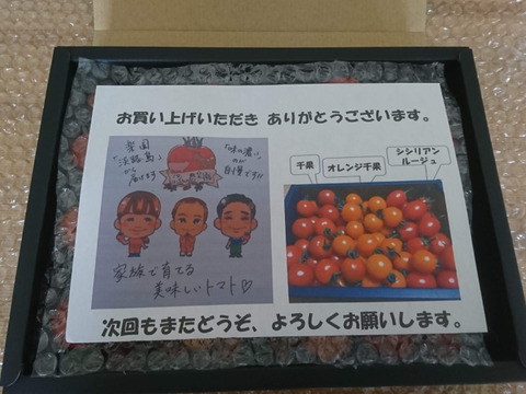 カラフルで甘いミニトマトの詰め合わせ（１ｋｇ）＆　農家自家製ドライトマト（２５ｇ）のセット【トマト食べ比べ】