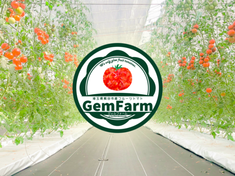 【数量限定】平均糖度8度以上！珠玉のフルーツトマト（3kg）