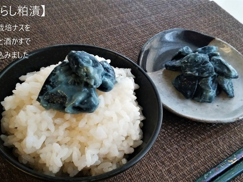 ご飯に お酒に ピリッと辛い酒かす味 なすからし粕漬 100ｇ 無着色 ３袋 秋田県産 食べチョク 農家 漁師の産直ネット通販 旬の食材を生産者直送