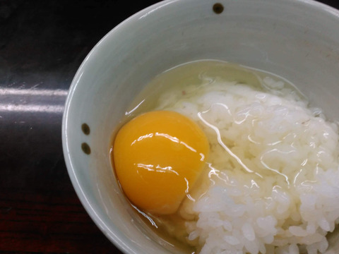 一滴でも美味しい！お山のたまご10個入り×2パック