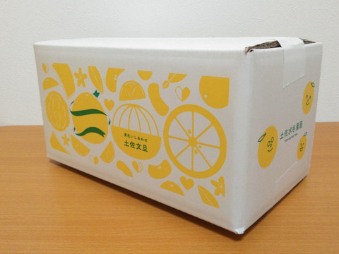 土佐文旦　ギフト用2個入り　4Lサイズ（650～750g）　化学合成農薬栽培期間中不使用　A品(農園独自基準)　便利な皮むき器付き☆　※北海道への配送はできません