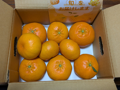 《豊作割引》【家庭用】甘平 2kg ギッシリ果肉のシャキシャキ食感♡愛媛限定高級柑橘♫愛媛みかん！！