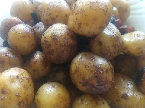 丹波産　自然栽培黒枝豆（2kg）500g×4袋　＋　ジャガイモ4.6kg（キタアカリ）　※簡易包装でのお届け