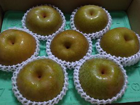 がばいうまか梨、3キロダンボール箱🍐7～10玉入り　販売開始
