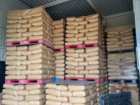 希少なブランド米    岐阜ハツシモ  
令和7年産  白米🍚