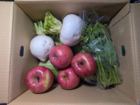キャベツ、カブ、アスパラ菜、リンゴ