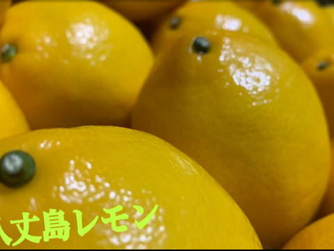 Lサイズ８個　有機八丈島レモン　
ノーワックス、防腐剤不使用、
東京GAP取得！　2㎏以上