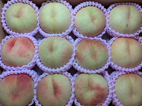 桃あかつき12玉