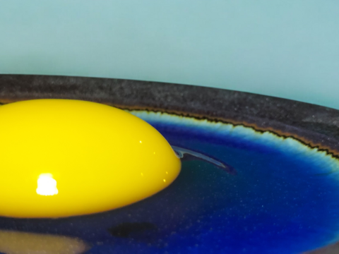 【品質検査済み】兵庫県芦屋産 放飼い烏骨鶏の有精卵『ラン・デリッチ』　６個入 ■クール便配送■【冬ギフト】