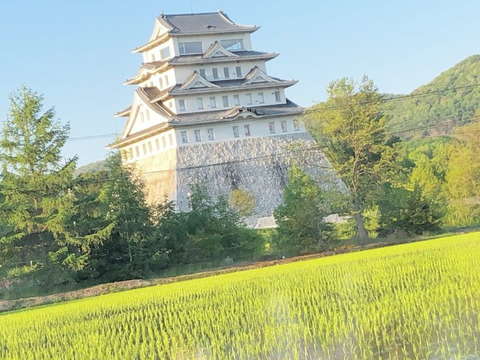 令和６年産　【白米】ツヤツヤもちもち  北海道ゆめぴりか　10kg（5kg×2）