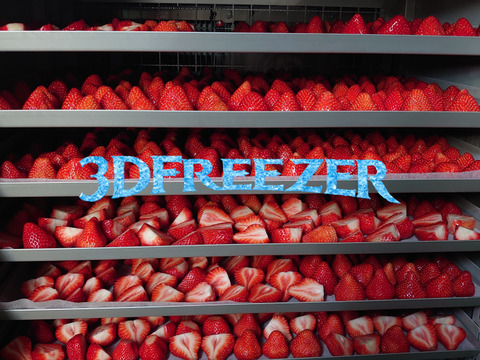 【完熟あまおう】冷凍イチゴ　500g×2パック