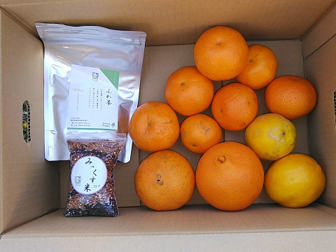 するがみっくす