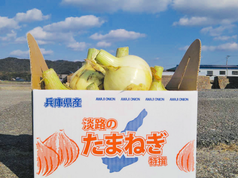 【淡路島産】今が旬の甘くて美味しい完熟玉ねぎ 3kg （サイズ混合約8〜12個)