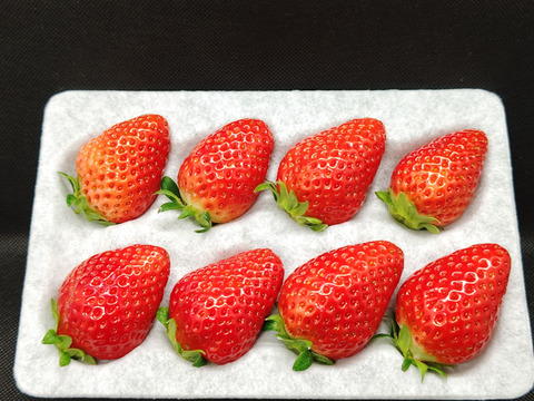 【かおり野＆みくのか】いちご食べ比べセット　合わせて2パック(各1パックずつ)【いちご食べ比べ】