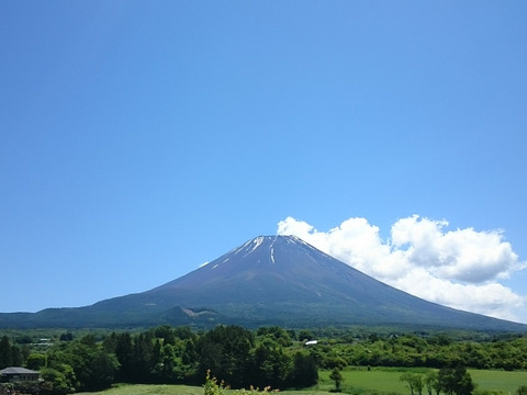 【富士山そだち】
スペシャルPORK