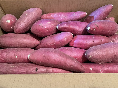 ねっとり極甘さつまいも！熟成紅はるか約5kg（S~2Lサイズ不揃い詰め合わせ）