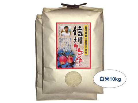 【白米10kg】信州りんご米 こしひかり【受注精米】(5kg×2袋)令和2年産