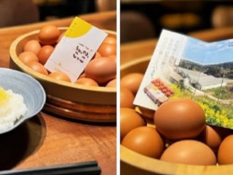 マヨラー必食?! こっこの陽なたマヨ　一匙食べればもうトリコ！　３本セット