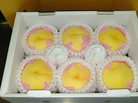 🍑🍑おかやまの白桃　小箱【4〜10個】【2箱セット】【ご自宅用】
