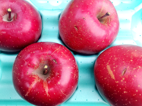 【サンふじ5kg】鰹と海藻のエキスでコク！旨っ！全面真っ赤々！完熟サンふじ【秀品】