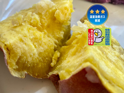 温室効果ガス削減・特別栽培認証🎖️【自然栽培🍠熟成・紅あずま（約1.5kg）】ほっくり美味しい・焼き芋にオススメ！