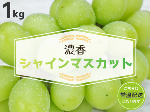 糖度抜群！種なしシャインマスカット　房売り約1kg　『常温発送』