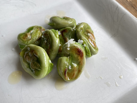 最終【自然栽培・自家採種🍀朝採りそら豆（さや付）】500g 15本前後・青臭くなく大粒で甘〜い！😋