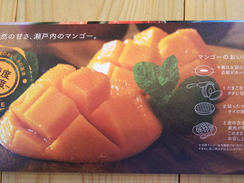 「ルビーマンゴー」驚きの自然の甘さ、糖度20度越え！