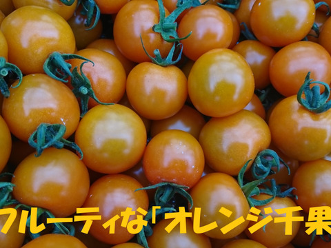 【定期便で４％お得！】カラフルで甘いミニトマトの【おまかせ】詰め合わせ（１ｋｇ）＆　農家自家製ドライトマト（２５ｇ）のセット