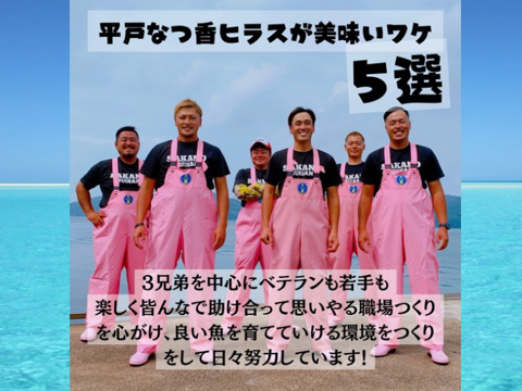 青空レストランで紹介された
平戸なつ香ヒラス半身（約１ｋｇ）真空パック・あら無し【さばき方＆魚レシピ付き】
長崎を代表するフルーツ魚！ヒラマサ【冬ギフト】【熨斗対応可】